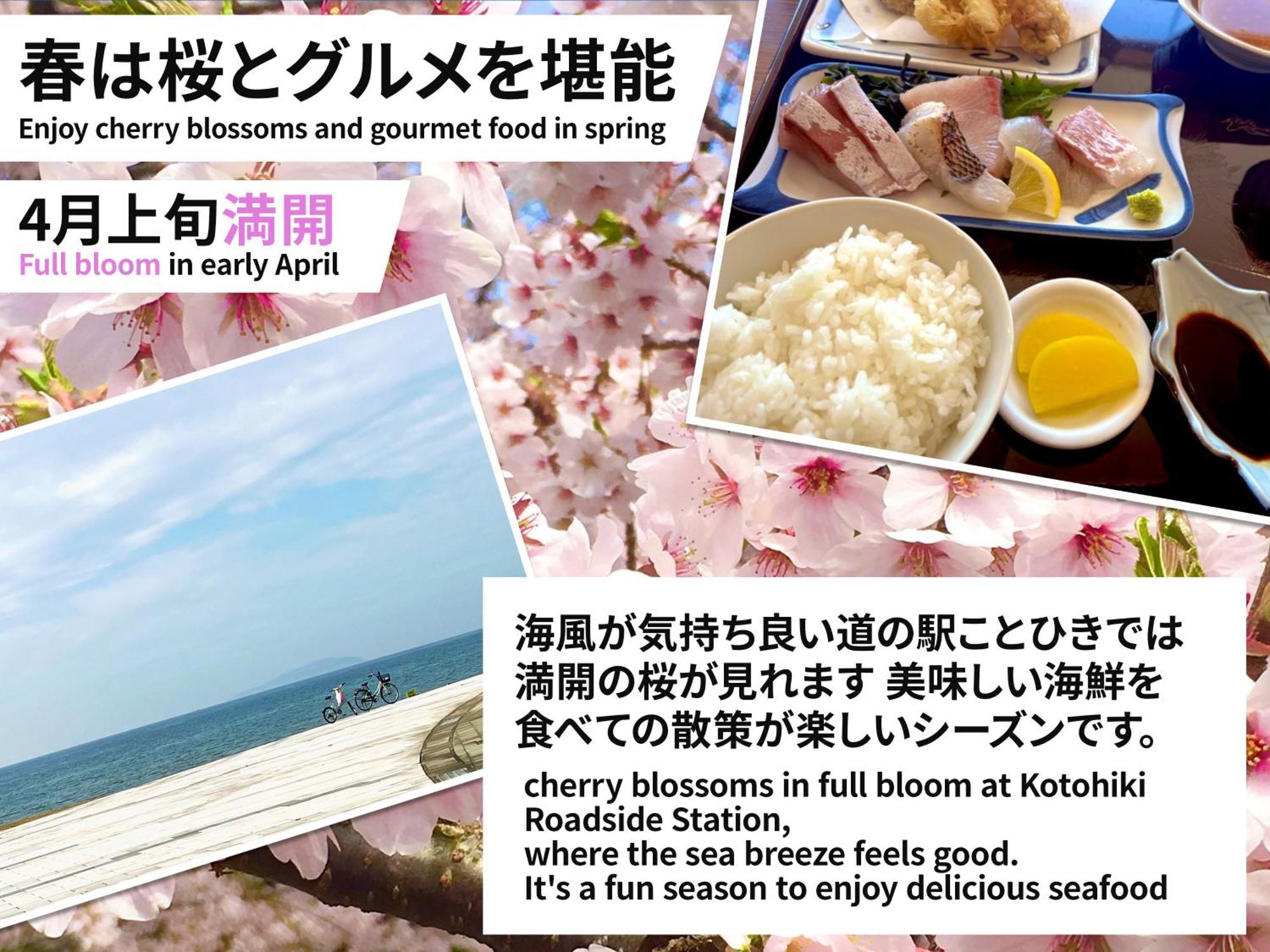Guesthouse紫雲 Kanonji Eksteriør bilde